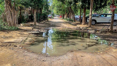 Why doors and windows of most houses in Gurgaon's Sector 46 are always shut