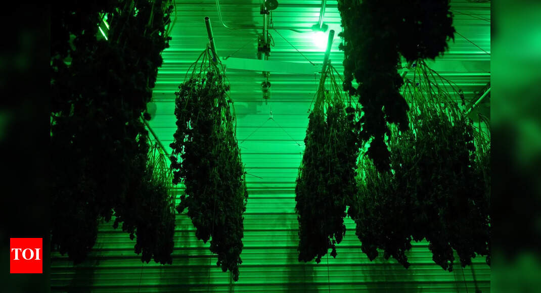 New Haven For Pot Smokers In US Midwest Missouri the new haven for