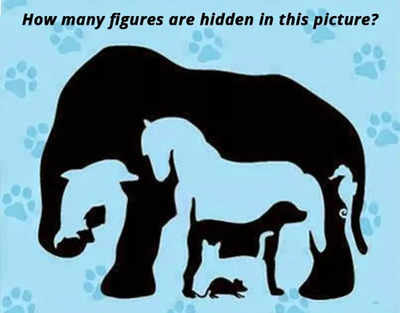 Picture Puzzle: Only A Genius Can Find Hidden Figures In This Picture in 7 Seconds