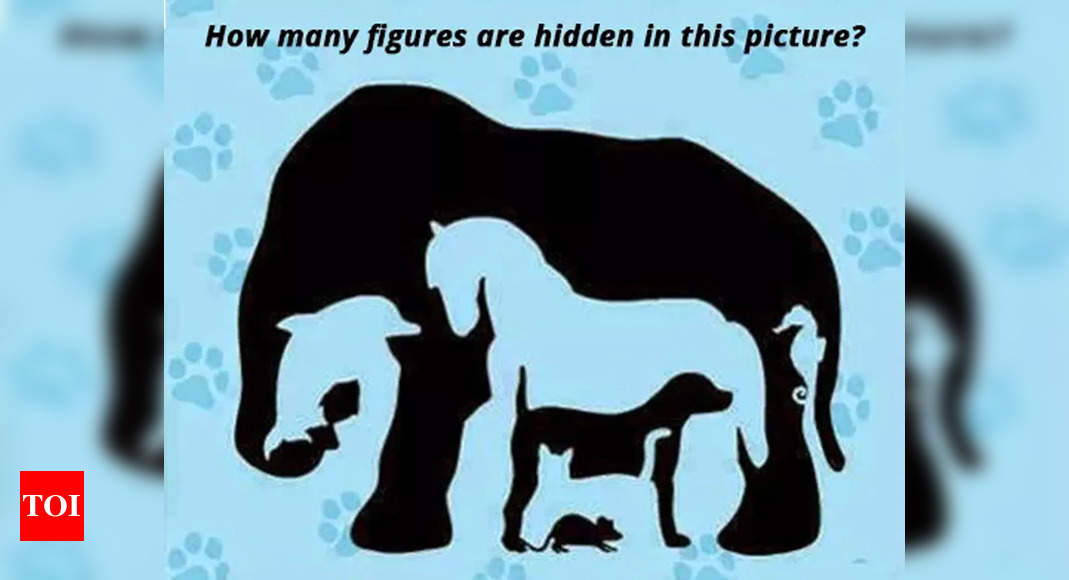 You're a genius if you can find the hidden 'T' in this puzzle