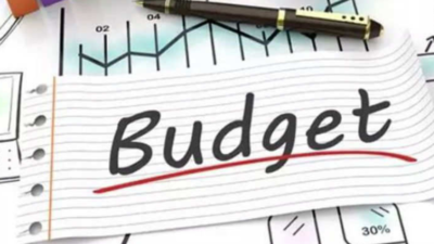 Parliament completes Budgetary exercise for FY24 amid din