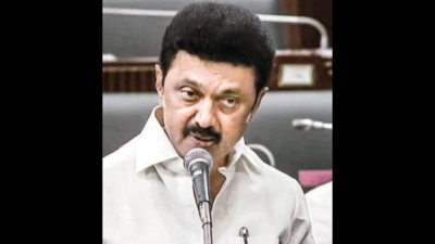 Vendors, househelps among 1 crore women to get Rs 1,000: Tamil Nadu CM MK Stalin