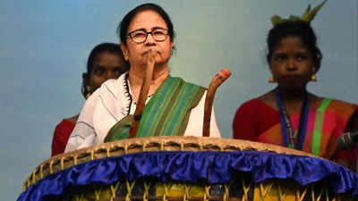 Ahead of West Bengal rural polls, CM Mamata Banerjee takes charge of minority affairs department