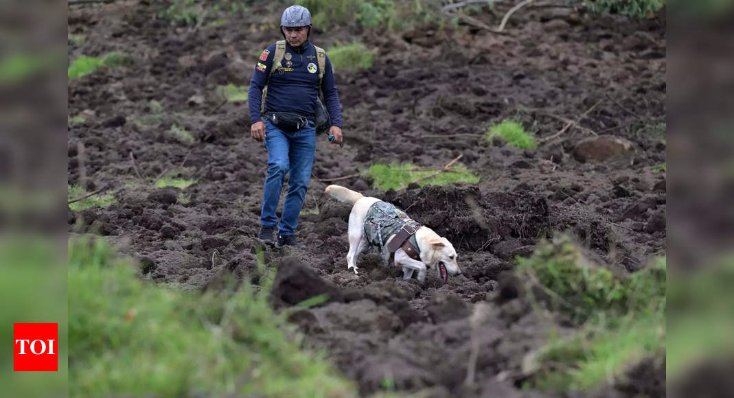 Landslide in Ecuador kills at least 7, with dozens missing – Times of India