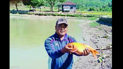 'Mizoram has 24,000 ha available for fish culture'