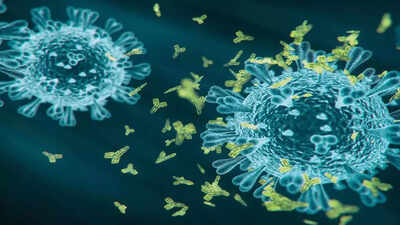 6 new cases of Covid-19 surface in district