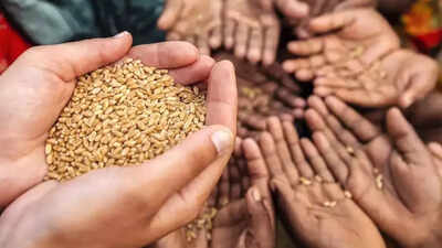Government may relax norms for wheat procurement after rain hit crops across states