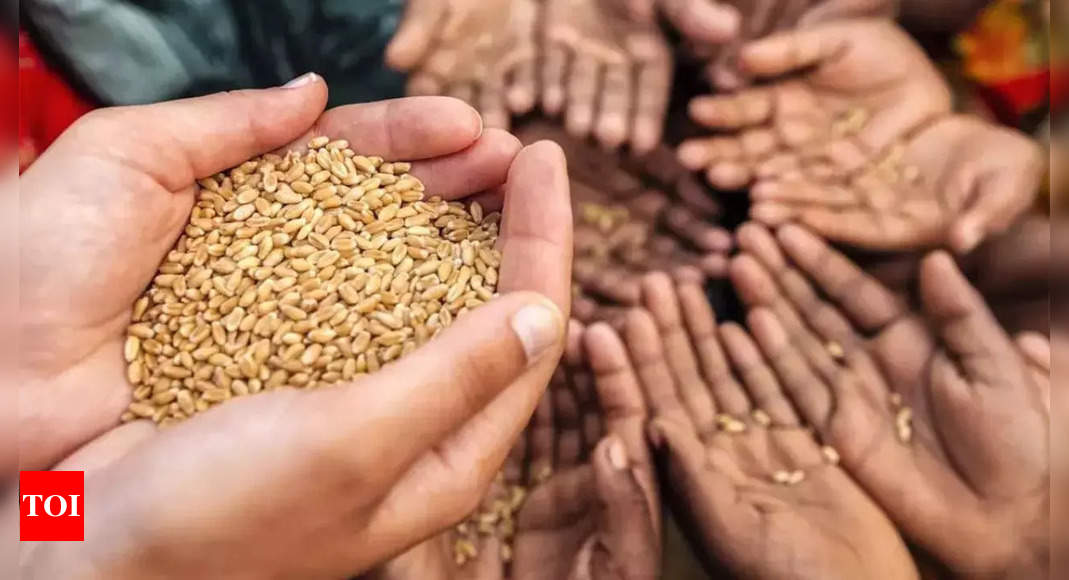 Government may relax norms for wheat procurement after rain hit crops across states