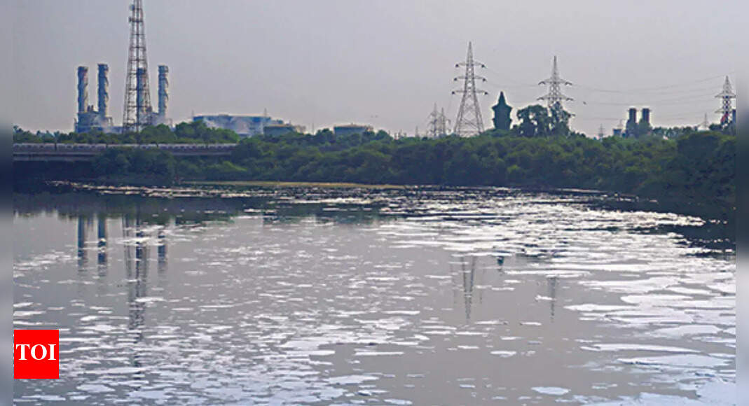 Ammonia in Yamuna at year's high, water supply affected in Delhi
