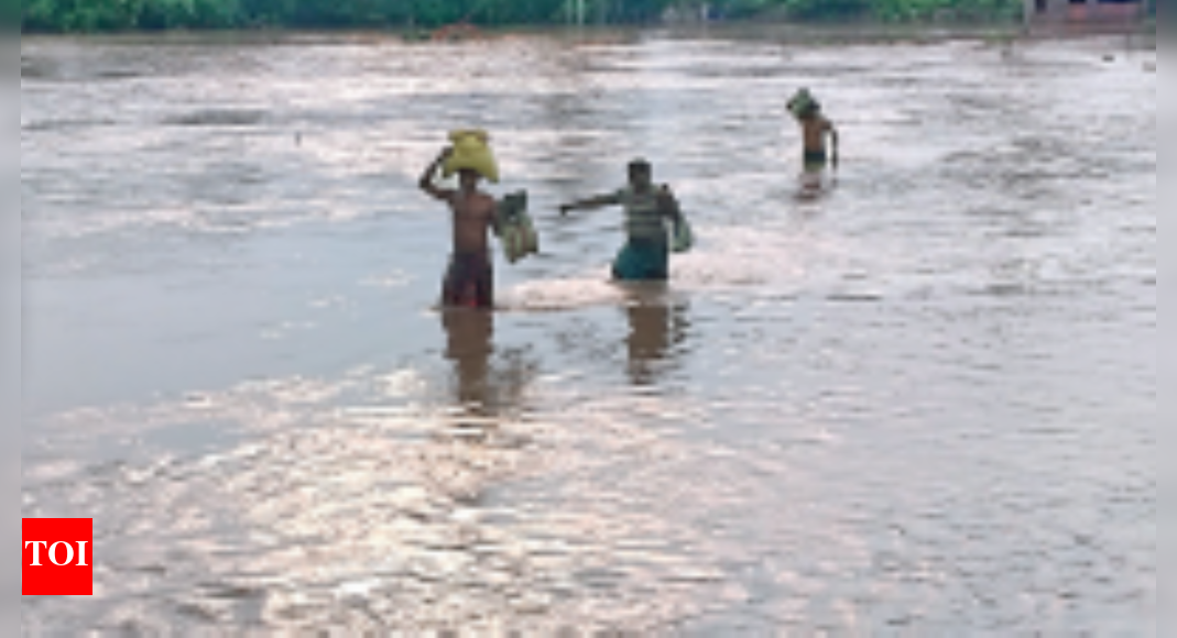 Bengal ‘bengal Faces Drought & Flood Due To Erratic Rain’ Kolkata
