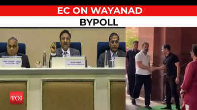 ECI on bypoll in Wayanad: ' Will wait as trial court has given 30 days time for judicial remedy'