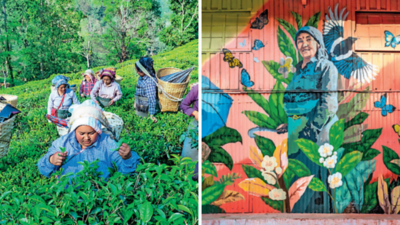 Kurseong tea garden to host G20 tourism chapter
