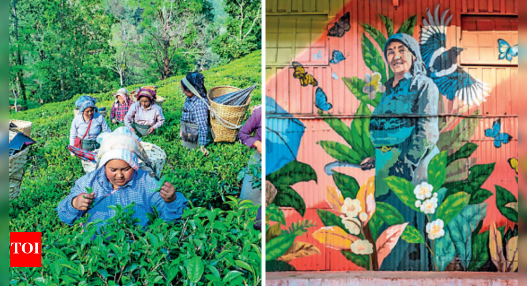 Kurseong tea garden to host G20 tourism chapter Kolkata News Times