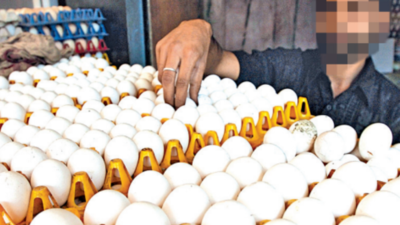Egg Cheaper But Producers Say Input Costs May Up Price | Bengaluru News