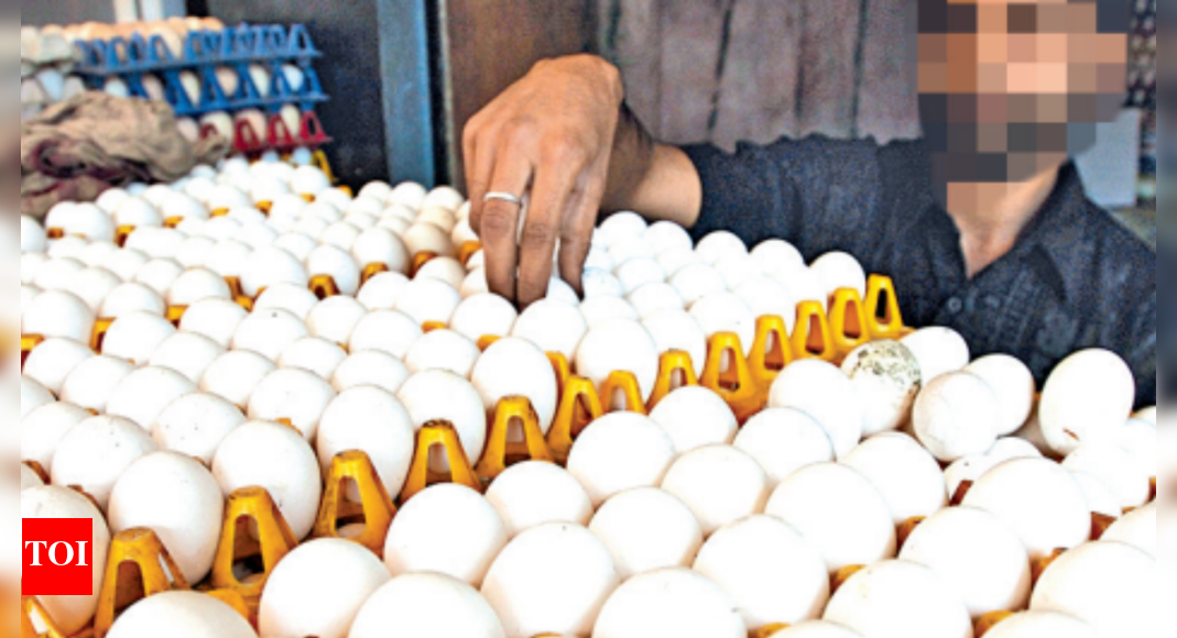 Egg Cheaper But Producers Say Input Costs May Up Price Bengaluru News