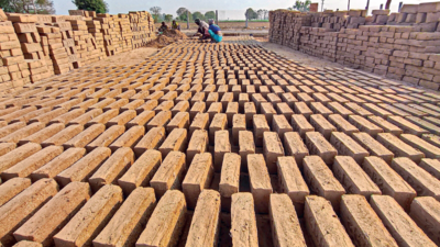 Brick by Brick, these bonded labourers became business owners
