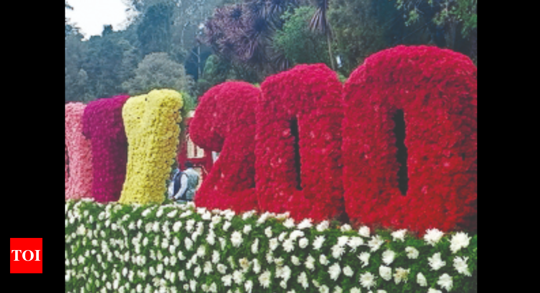 Ooty ‘flower Show’ Begins On May 19 Coimbatore News Times of India