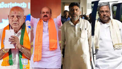 Karnataka Assembly Elections: BJP Banks On Caste Matrix, Congress On ...