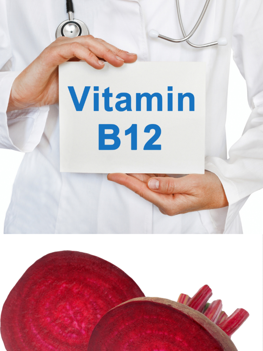 Foods high in vitamin B12 for vegetarians – NewsEverything Life Style