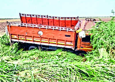 Six killed as truck overturns