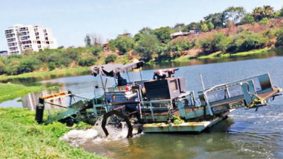 Drive to clean water hyacinth from Godavari river launched