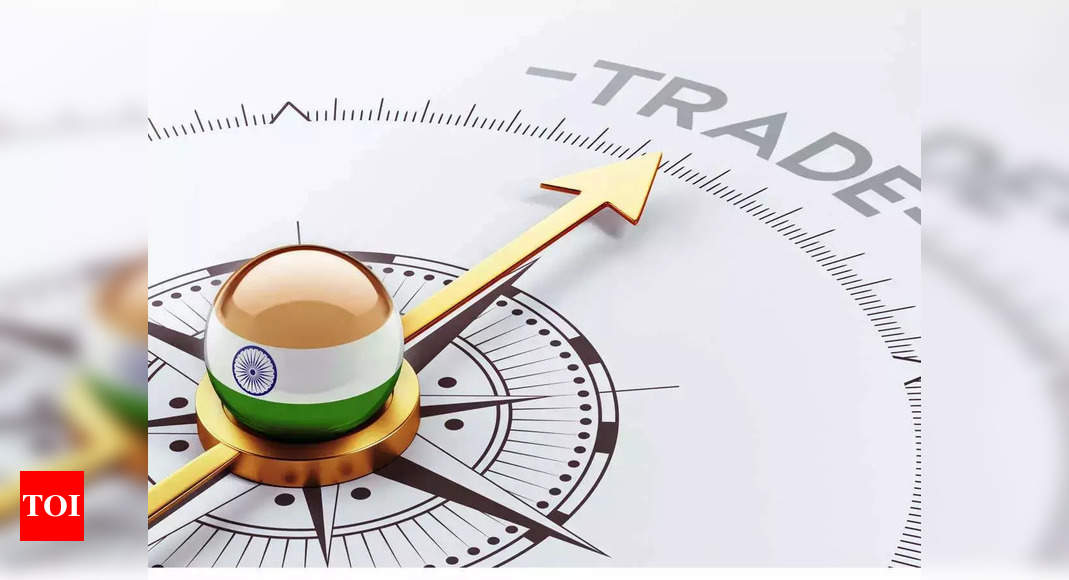 India Unveils New Foreign Trade Policy Focus On International Trade   Photo 