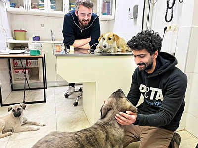 PETA along with locals in Turkey rescue earthquake affected animals