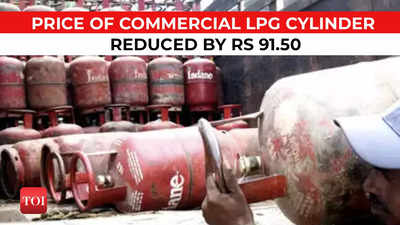 Commercial LPG cylinder's price reduced by Rs 91.50, to be sold at Rs 2,028 in Delhi