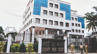 Stop illegal coal mining at Tikok: Gauhati HC to govt