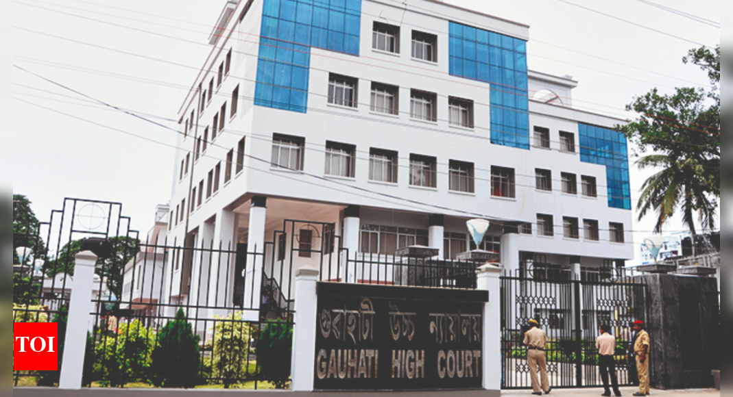 टिकोक: टिकोक में अवैध कोयला खनन बंद करो: सरकार को गौहाटी एचसी |  गुवाहाटी समाचार – टाइम्स ऑफ इंडिया