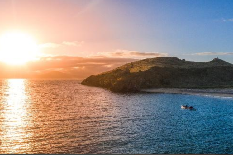 Stewart Island 