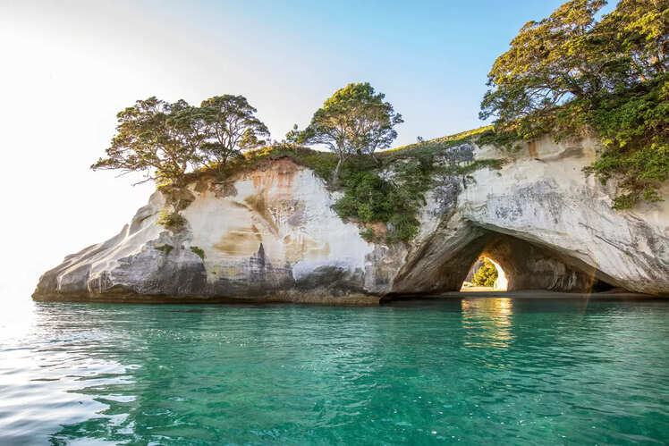 The Coromandel
