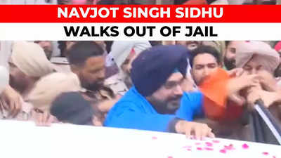 Watch: Congress leader Navjot Singh Sidhu released from Patiala Central Jail after 10 months