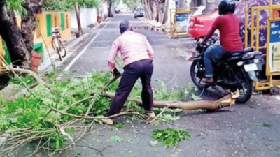 Lucknow records 2nd highest April rain in 8 years