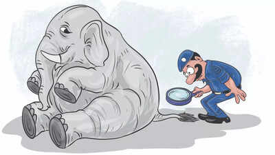 Elephant in house April fool hoax jolts Surat firemen