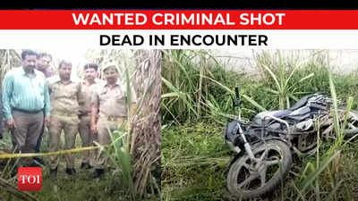 UP: Accused of Suresh Raina's kin murder shot dead in encounter