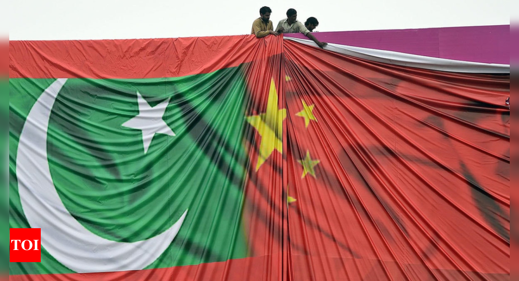 巴基斯坦为什么不向中国借款？