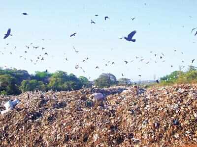 Sonsoddo set to minimise volume of incoming waste