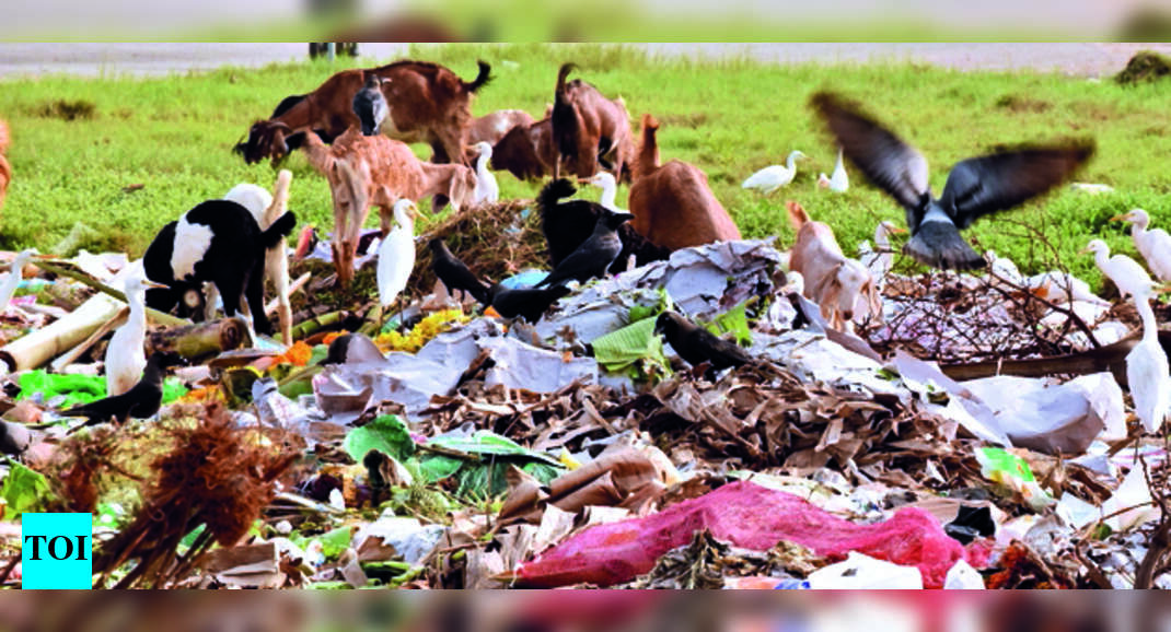 Improper Improper Waste Disposal 892 Establishments Served Notice