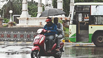Pre-monsoon rain in Mysuru and Chamarajanagar reduces forest fires, but crops destroyed