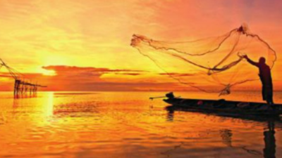 How small-scale fisheries are big contributor to jobs, diets