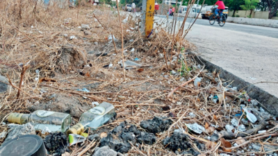Tipplers act brazen on Baner Pashan Link Road, residents demand police action