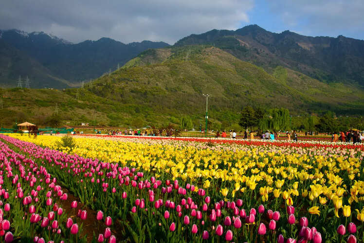 An ode to Spring: Beautiful places from all corners of India | Times of ...