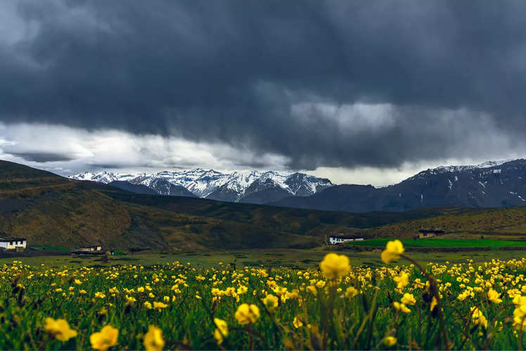 An ode to Spring: Beautiful places from all corners of India | Times of ...