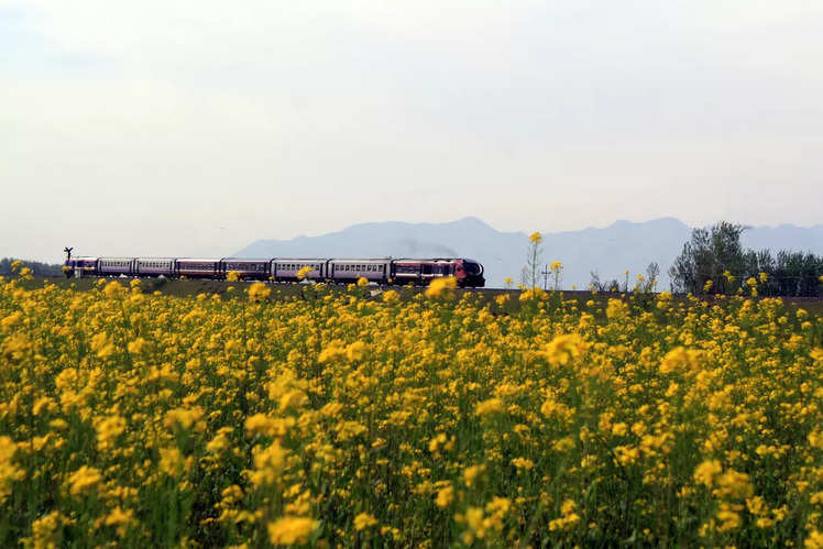 An ode to Spring: Beautiful places from all corners of India | Times of ...