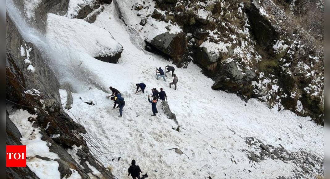 avalanche-in-sikkim-seven-tourists-killed-in-avalanche-in-sikkim-s-nathu-la-rescue-operation-under-way-or-kolkata-news-times-of-india