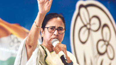 Mamata blames 'outsiders' for Hooghly violence; 50 arrested