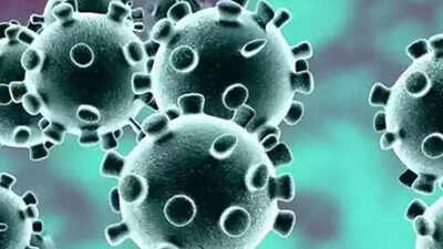 Covid-19: Highly infectious XBB 1.5 predominant strain in Punjab