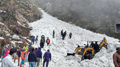 7 tourists die as avalanche strikes Sikkim's Nathu La
