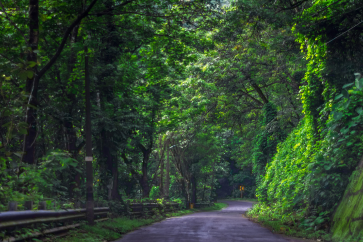 Beautiful road trips in Kerala for the love of travel | Times of India ...